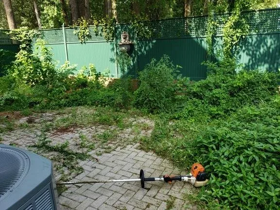 Professional landscaping services in Chesapeake, VA by Bluegrass Lawn Care