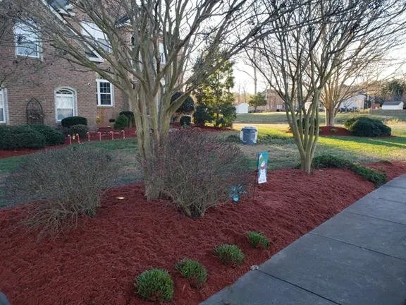 Reliable lawn care service for outdoor upgrades in Chesapeake, VA by Bluegrass Lawn Care