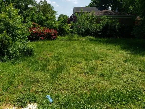 Custom yard maintenance in Chesapeake, VA by Bluegrass Lawn Care