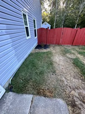 Bluegrass Lawn Care Logo