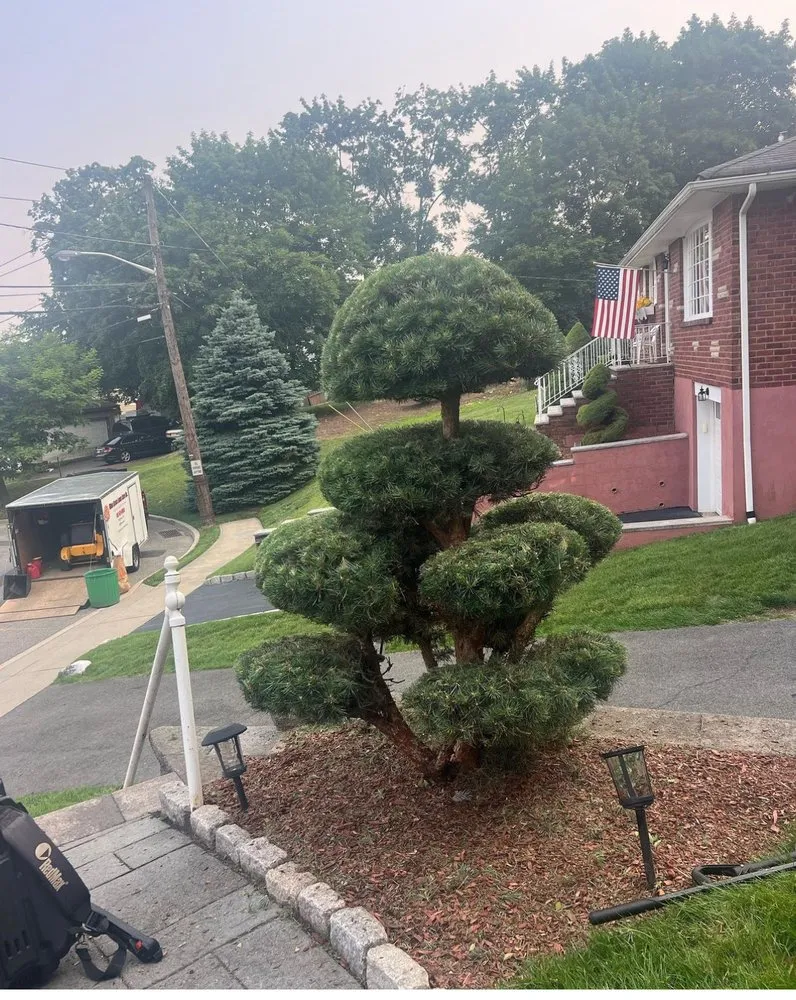 Reliable residential landscaping in Clifton, NJ - Bluegrass Lawn Care