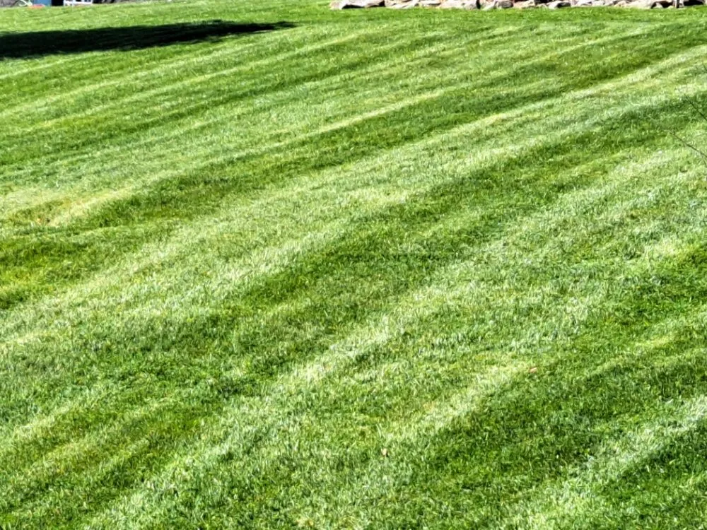 Custom landscape design in Marion, VA - Bluegrass lawn care