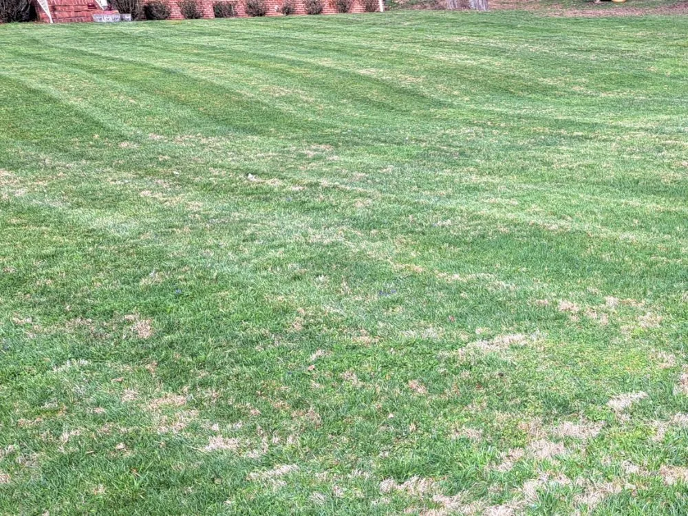 Top-rated landscaping services with custom design in Marion, VA by Bluegrass lawn care