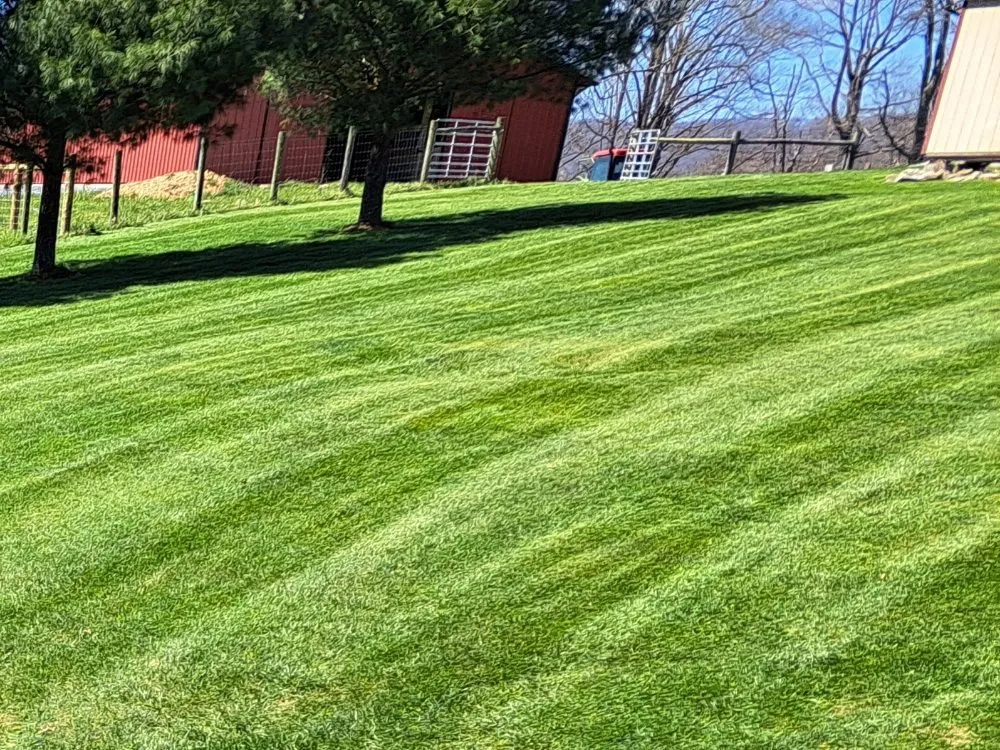 Local yard maintenance experts serving Marion, VA - Bluegrass lawn care