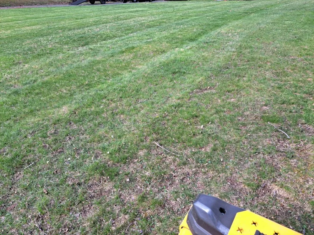 Top-rated outdoor landscaping for homes in Marion, VA by Bluegrass lawn care