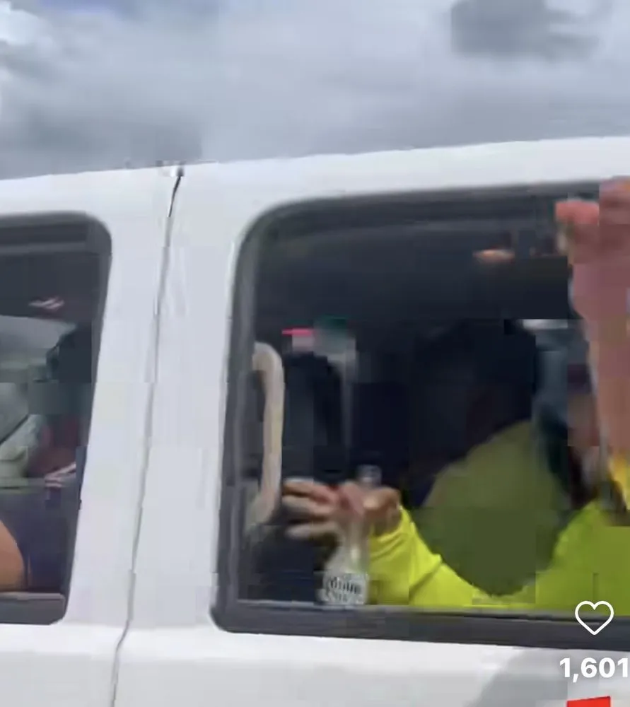 Top-rated residential landscaping for beautiful yards across Katy, TX - Bluegrass Maintenance