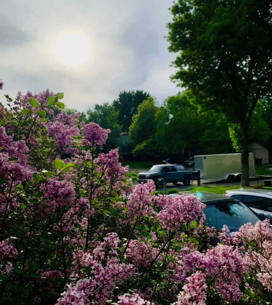 Trusted outdoor landscaping experts serving Burnsville, MN - Bluegrass Outdoor Services