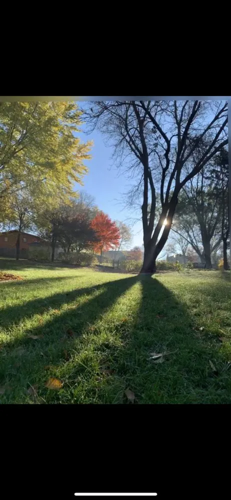 Custom landscape design in Burnsville, MN - Bluegrass Outdoor Services