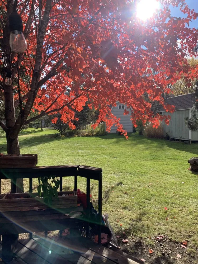 Affordable yard cleanup service in Burnsville, MN - Bluegrass Outdoor Services