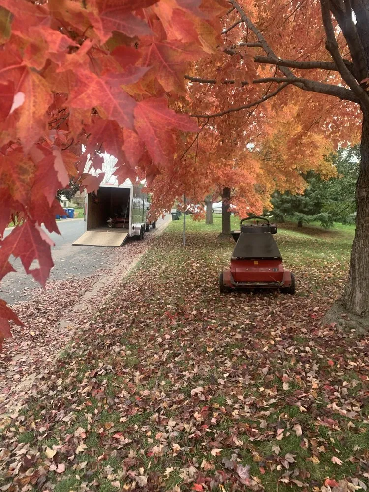 Expert yard maintenance in Burnsville, MN - Bluegrass Outdoor Services