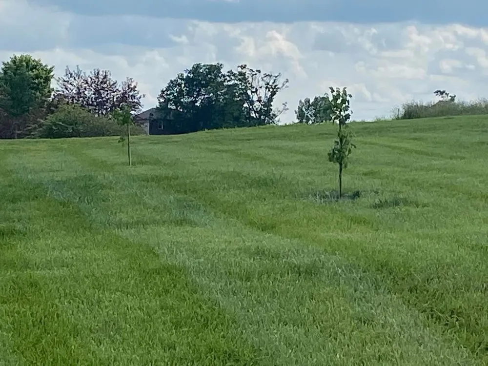 Local landscape design for outdoor upgrades across Danville, KY - Bluegrass Outdoor Solutions