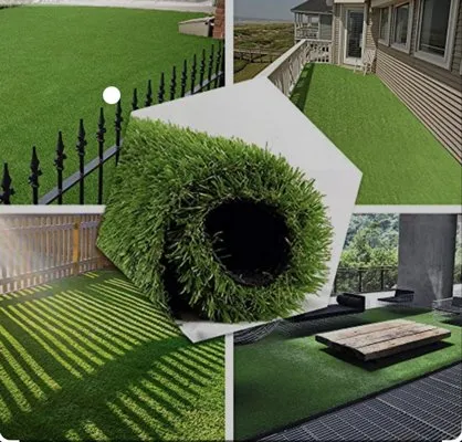 Bluegrass Premium Products Logo