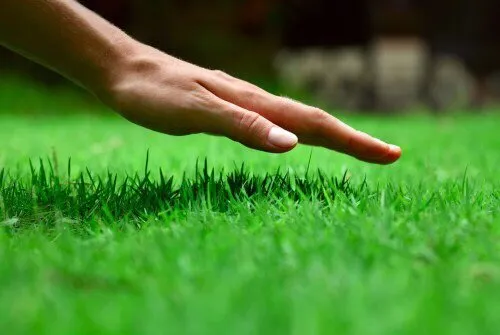 Affordable yard maintenance for homes in Berea, KY by Bluegrass Turf & Landscape