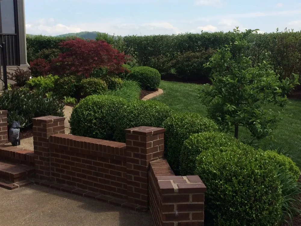 Top-rated yard maintenance for beautiful yards in Berea, KY by Bluegrass Turf & Landscape
