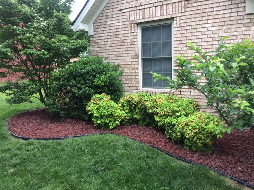 Expert yard maintenance in Berea, KY - Bluegrass Turf & Landscape