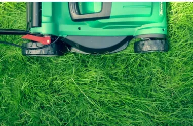 Expert outdoor landscaping experts serving Utica, KY - Bluegrasshandyman24/7