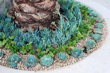 Expert outdoor landscaping experts serving Glendale, CA - BlueGreen Landscape Design