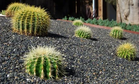 Top-rated landscape design near you in Glendale, CA by BlueGreen Landscape Design