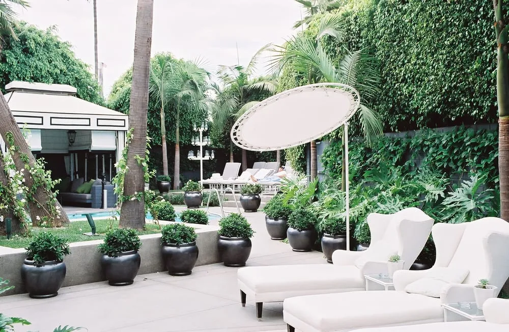 Custom yard maintenance experts serving Glendale, CA - BlueGreen Landscape Design