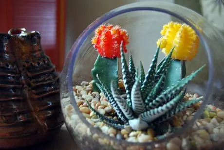 Affordable yard cleanup service experts serving Glendale, CA - BlueGreen Landscape Design