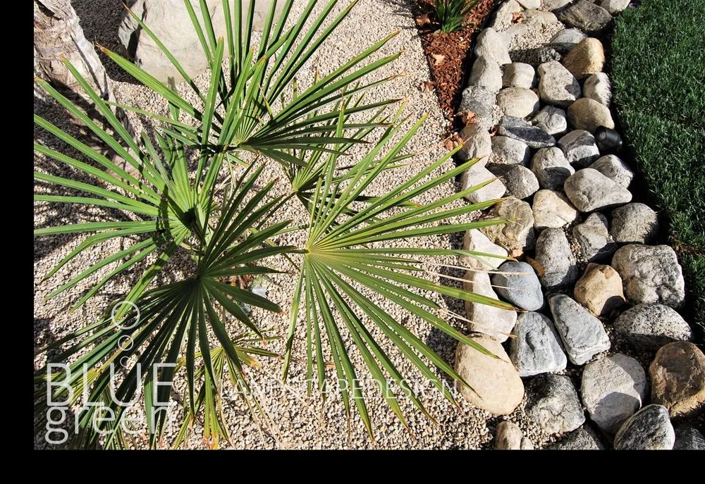 Custom landscaping services in Glendale, CA by BlueGreen Landscape Design