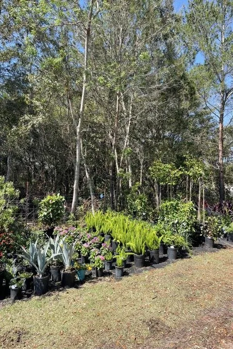 Expert lawn mowing service experts serving Santa Rosa Beach, FL - BlueGreen Landscape Development