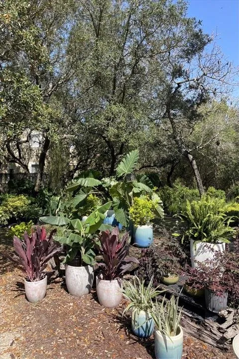 Trusted lawn mowing service in Santa Rosa Beach, FL - BlueGreen Landscape Development