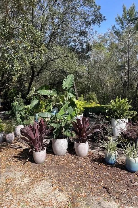 Reliable lawn mowing service in Santa Rosa Beach, FL - BlueGreen Landscape Development