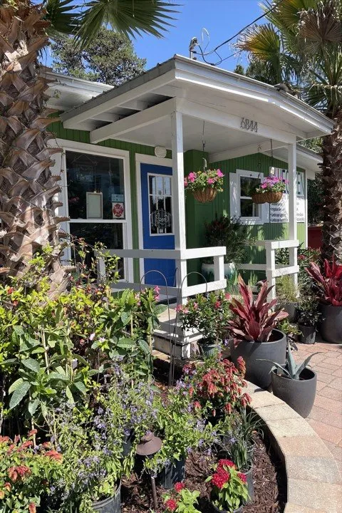 Custom yard cleanup service in Santa Rosa Beach, FL - BlueGreen Landscape Development