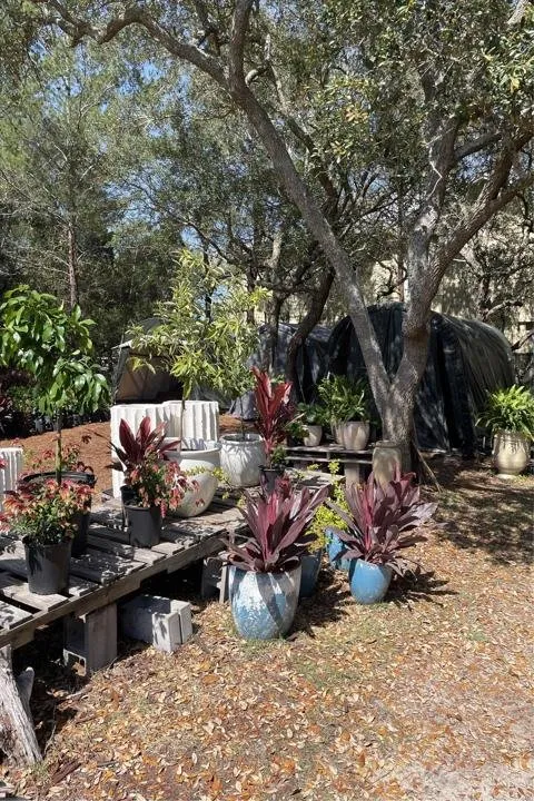 Custom residential landscaping near you in Santa Rosa Beach, FL by BlueGreen Landscape Development