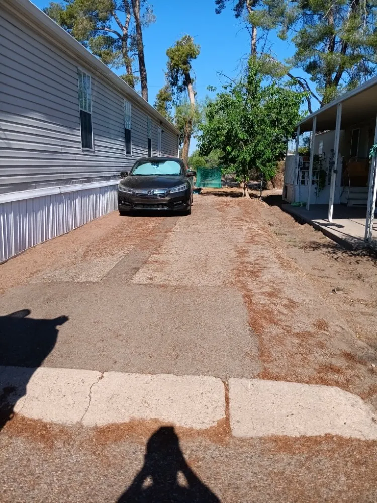 Custom lawn mowing service with custom design across Tucson, AZ - Bluejay Landscaping