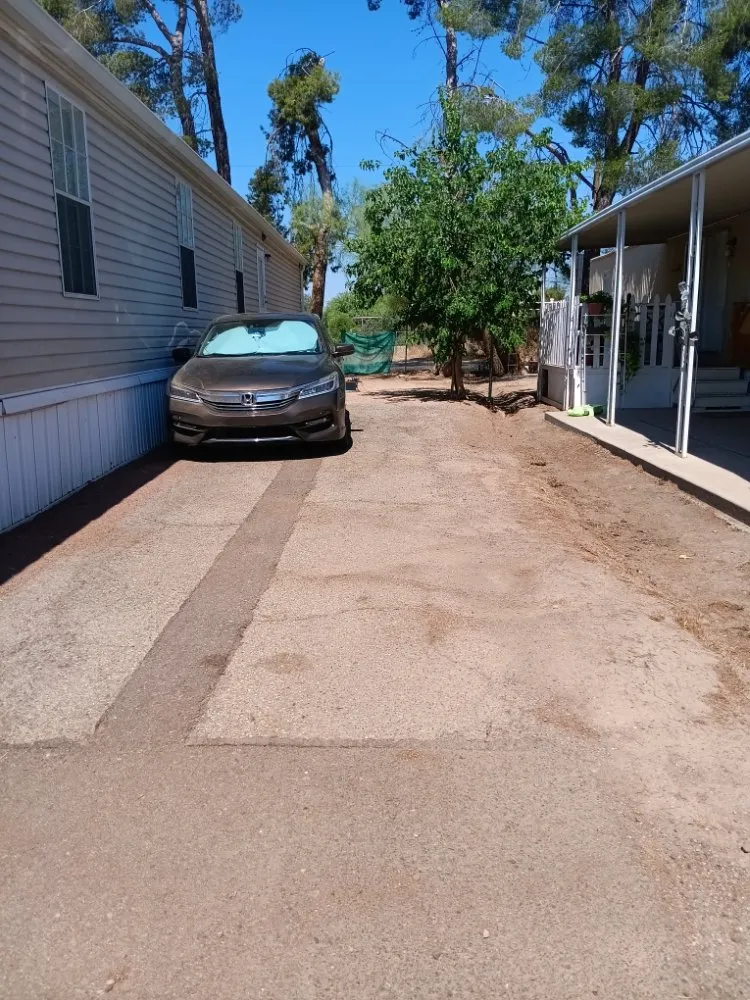 Reliable residential landscaping experts serving Tucson, AZ - Bluejay Landscaping