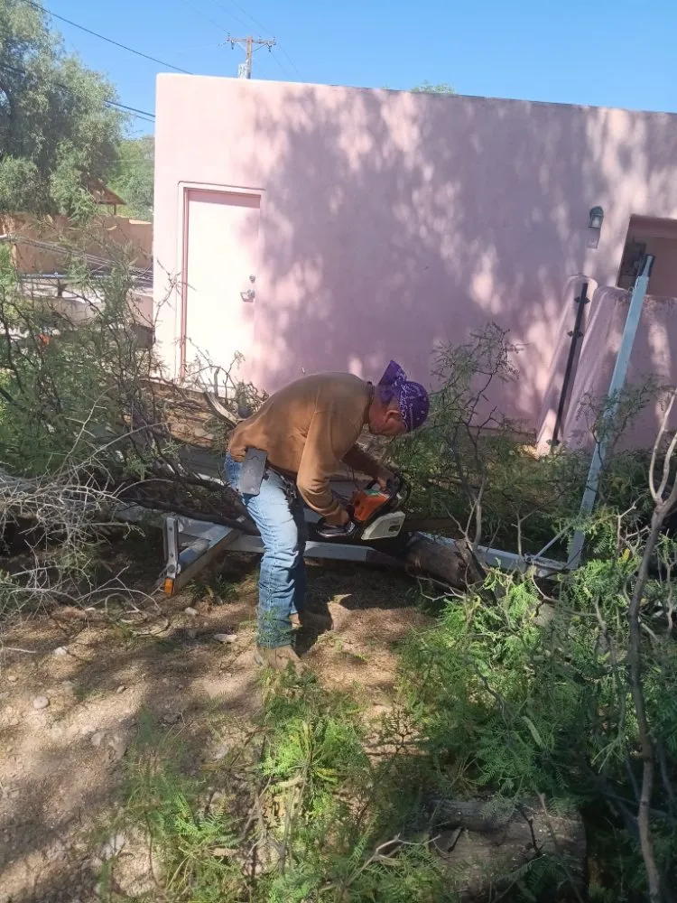 Trusted lawn mowing service in Tucson, AZ by Bluejay Landscaping