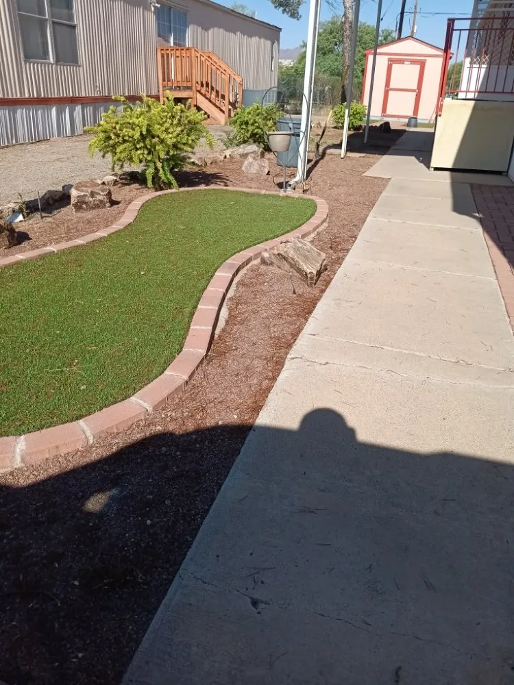 Local lawn mowing service in Tucson, AZ - Bluejay Landscaping