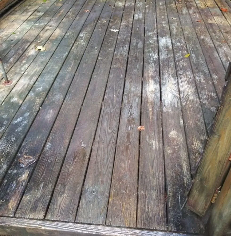 Professional residential landscaping in Decatur, GA by Bluejays Landscaping and Home Remodeling