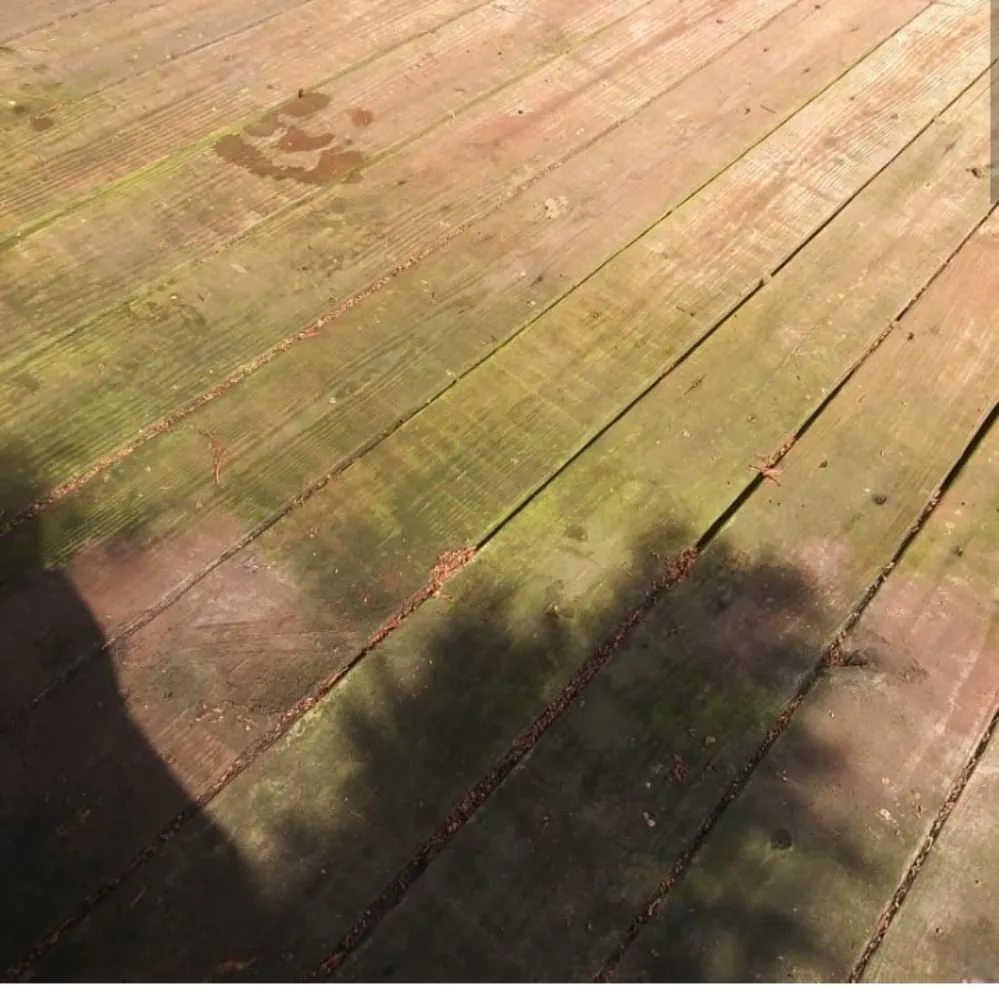 Trusted landscaping services in Decatur, GA - Bluejays Landscaping and Home Remodeling