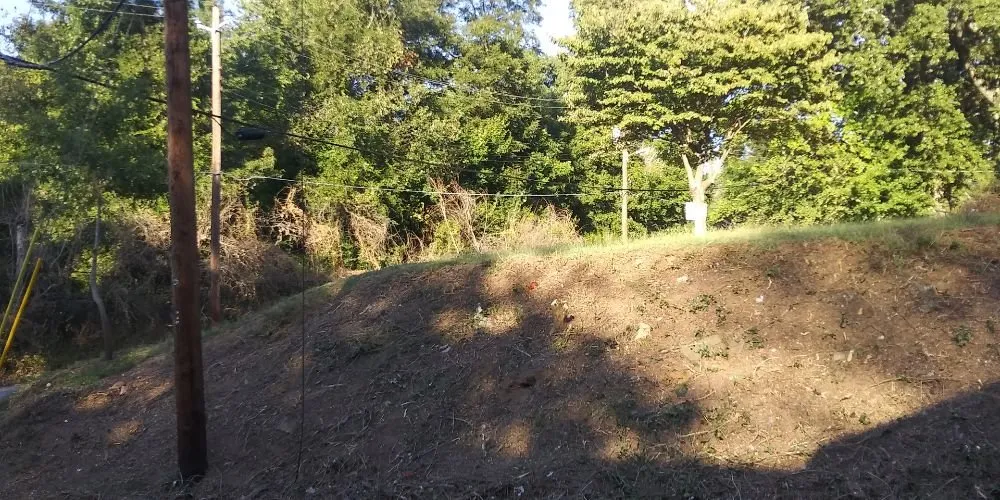 Professional lawn care service in Decatur, GA - Bluejays Landscaping and Home Remodeling