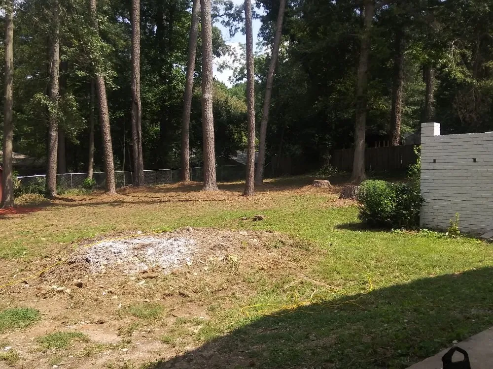 Trusted yard cleanup service for beautiful yards across Decatur, GA - Bluejays Landscaping and Home Remodeling