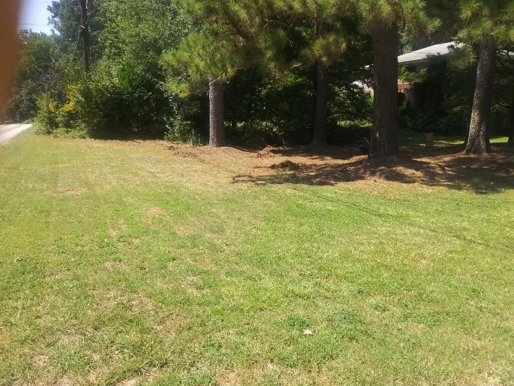 Custom landscaping services for outdoor upgrades across Decatur, GA - Bluejays Landscaping and Home Remodeling