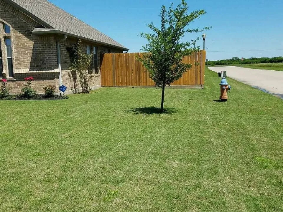 Reliable outdoor landscaping in Valley View, TX by Blueline Landscaping