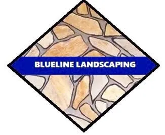Local yard maintenance for outdoor upgrades in Valley View, TX by Blueline Landscaping