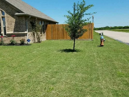 Blueline Landscaping