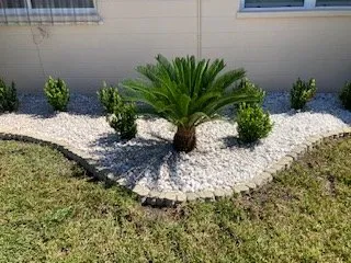Local outdoor landscaping in Bradenton, FL - Blueline Tree Service & Landscaping