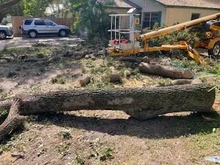 Professional outdoor landscaping with custom design in Bradenton, FL by Blueline Tree Service & Landscaping