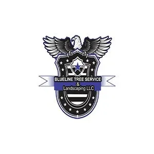 Trusted yard cleanup service in Bradenton, FL - Blueline Tree Service & Landscaping