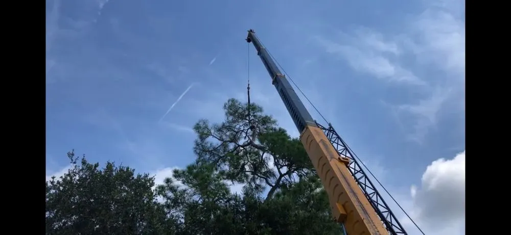 Local lawn care service experts serving Bradenton, FL - Blueline Tree Service & Landscaping