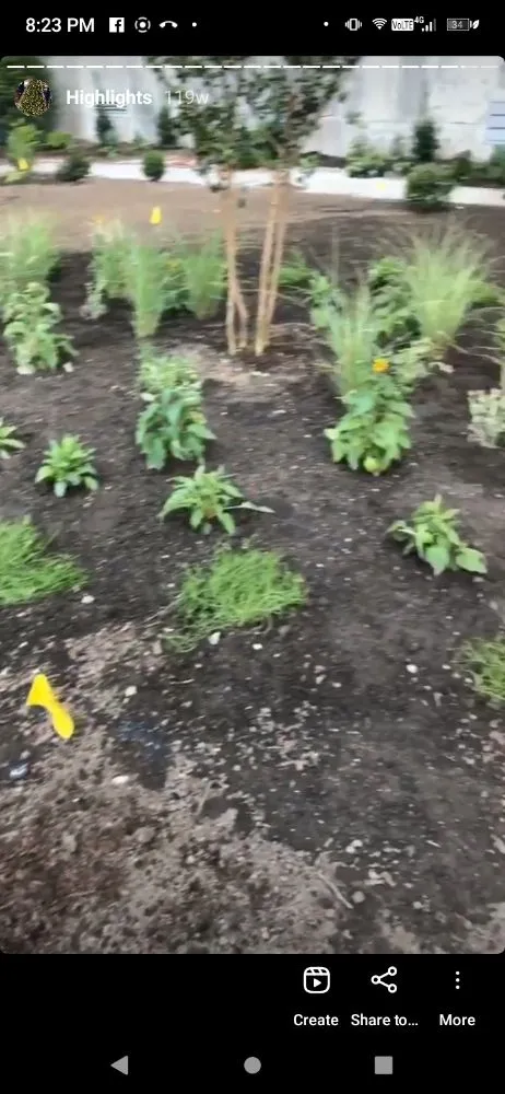 Trusted yard cleanup service in Mount Vernon, NY by Blueocean Innovatived Landscape