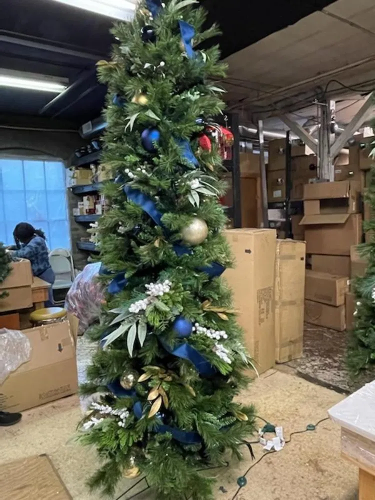 Professional outdoor landscaping in Mount Vernon, NY by Blueocean Innovatived Landscape