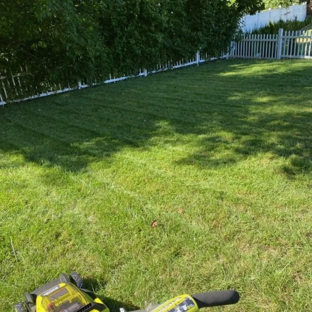 Professional landscape installation for year-round maintenance across Mount Vernon, NY - Blueocean Innovatived Landscape