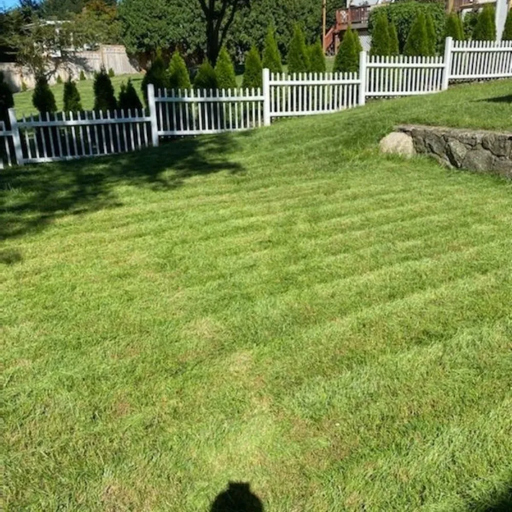Local lawn care service experts serving Mount Vernon, NY - Blueocean Innovatived Landscape
